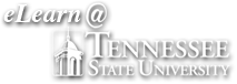 Tennessee State University